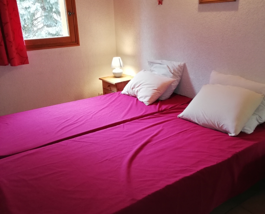 MYOSOTIS – APPARTEMENT 10 PERSONNES À SAINT MARTIN DE BELLEVILLE